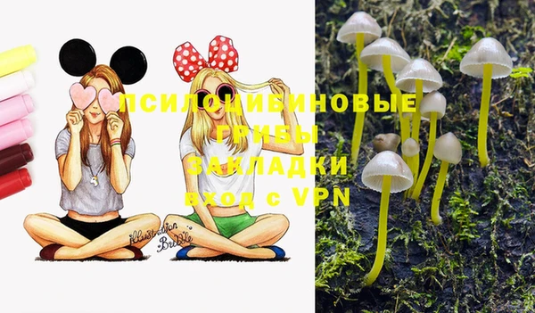 прущая мука Лиски