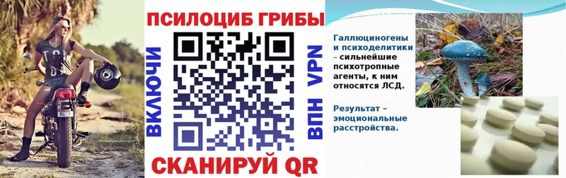 МЕГА   Ялуторовск  Псилоцибиновые грибы GOLDEN TEACHER  купить наркотики цена 