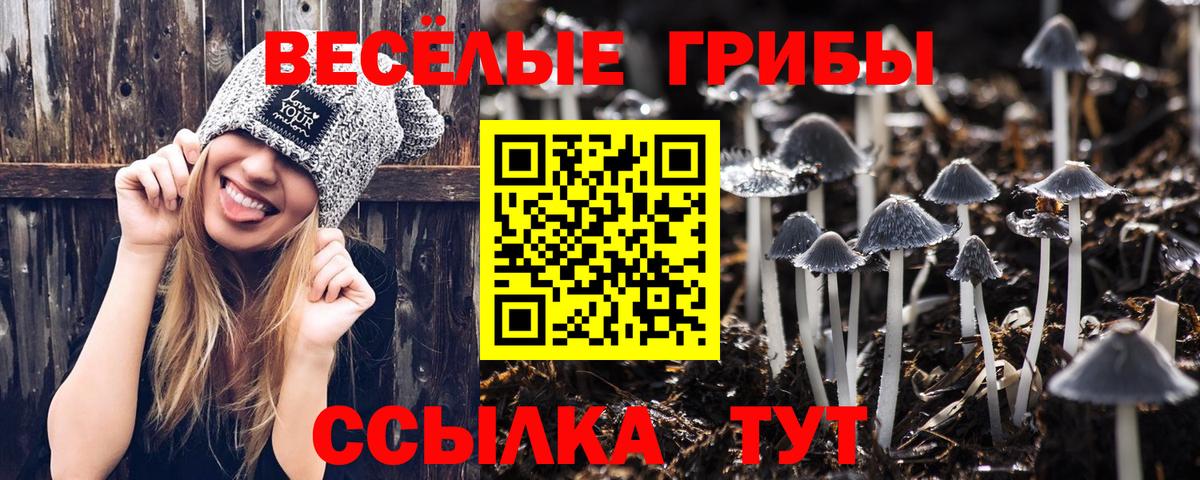 Псилоцибиновые грибы мицелий  Вход с VPN  Ялуторовск  как найти закладки  Псилоцибиновые грибы Psilocybe 